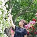 우면주공아파트 이미지