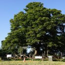 김홍도미술관 이미지