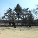 삼도남초등학교 이미지