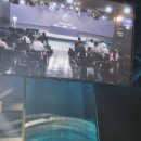 VSG ARENA