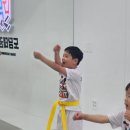 도담태권도장 이미지