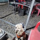 백제황토숯가마찜질방 이미지