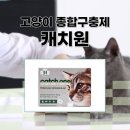 송도건강온누리약국 이미지