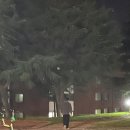 연지세탁&운동화 이미지