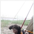 지경국민여가캠핑장 이미지