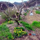 일꾼농장 이미지