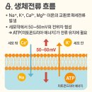 ⚡근막과 생체전기가 만드는 허리 통증의 비밀 “허리 통증의 근본 원인은 근육이 아니라 전기의 흐름에 있다! 이미지
