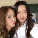 연우실크