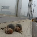 국립생태원동물병원 이미지