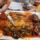 황금코다리무안점 이미지