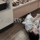 사보라