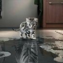 서정 정도관 이미지