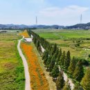 대부도 파란하늘 이미지