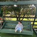 윤우목장 이미지