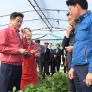 김선욱농장 네이버블로그