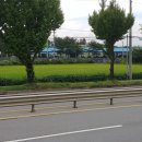 꿈동산공인중개사사무소 이미지