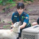 전원일기 스포츠조선
