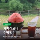 산성로 | 카페레오나 청주 수박빙수 맛집 복수박 예약 내돈내산 후기