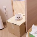 숨숨집 이미지