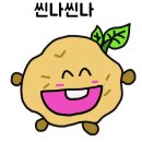 양가네손칼국수