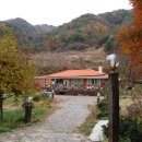 일번지농장 이미지