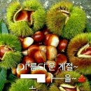 지리흙집황토마을 이미지