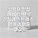 세레비 | "이젠 스트레스 안녕?" 세레비 엘나스 릴렉스 후기