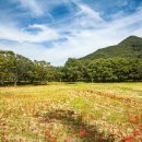 유니버셜 이미지