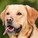 (주)연재 이미지