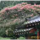 정의선농장 이미지