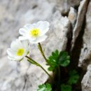 🍀성경에 대한 명언🍀 이미지