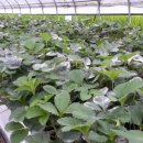 해신축산 이미지