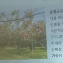 영농법인조합 농부의꿈 이미지