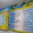 엘레자 멀티샵 이미지
