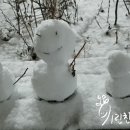 데굴데굴 이미지