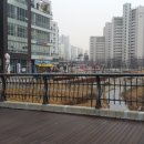 굽네치킨세종 이미지