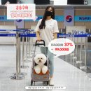 (주)카핸즈 이미지