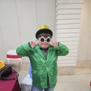 서진 이미지