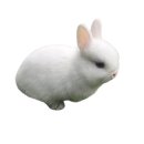 토심 이미지