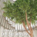 초은초등학교 이미지