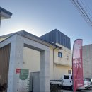 북대전 | 대전 애견카페 울댕 파쏘 북대전점 방문후기