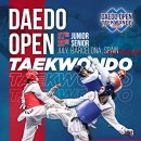 퍼포먼스 태권도장 이미지