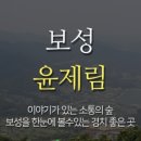 보성벌목