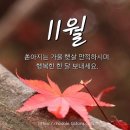 🍁🍂11월의 인사말 이미지🍁🍂 이미지