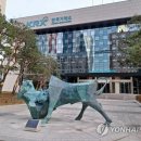 829 연합뉴스TV