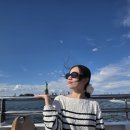 크루즈민박 | 미국 뉴욕 다운타운 자유의여신상 크루즈 투어 추천 리얼 만족 후기