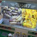 벨라씨모 | 오사카 1일차