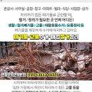원일교회주변 이미지