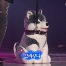 다비스튜디오