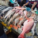 코타키나발루 해산물 시장 KK Fish Market